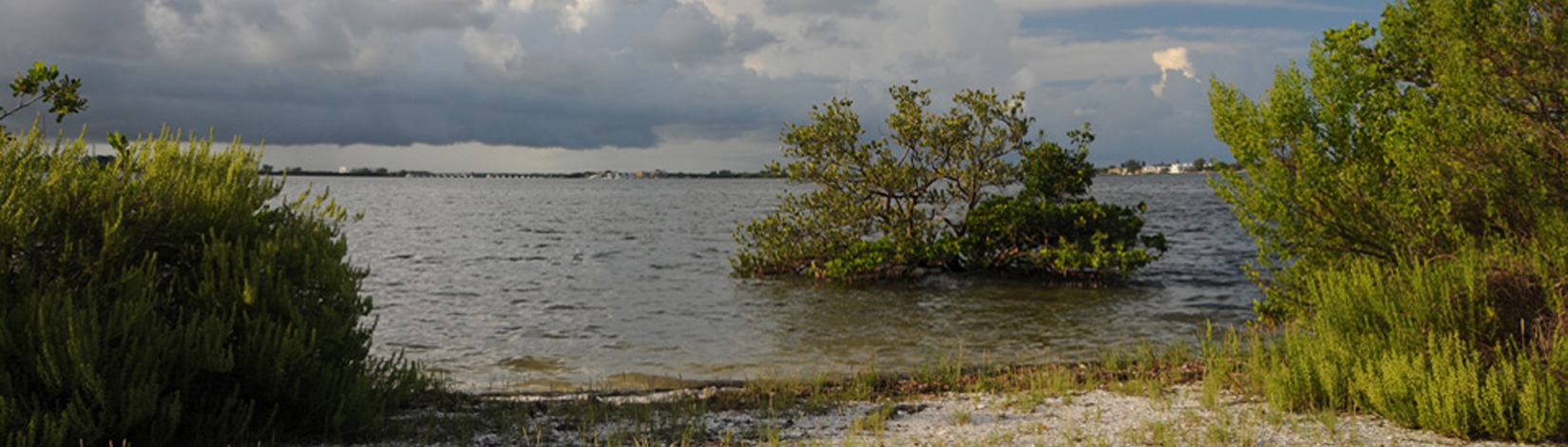A coastal scene along Lemon Bay in Sarasota County, Florida.