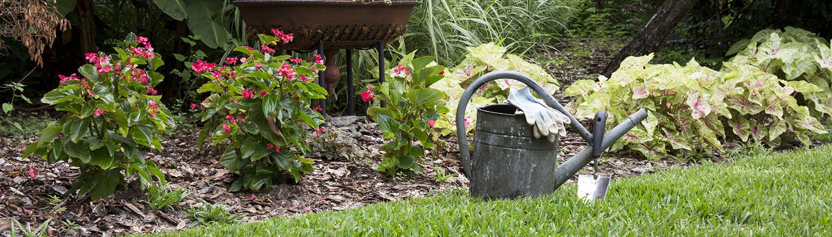 Watering container in a garden